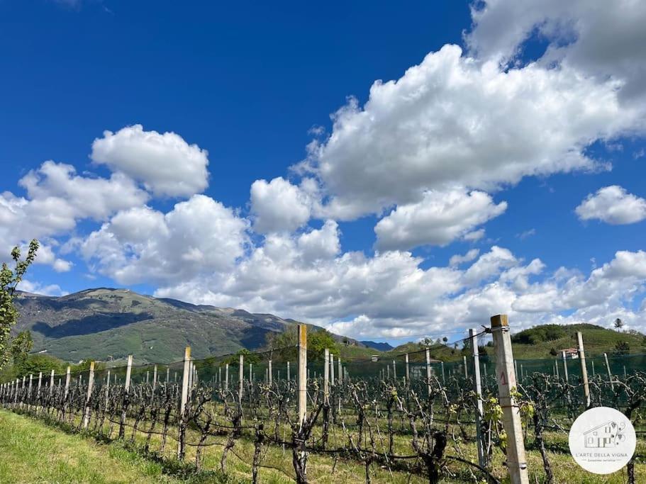 Вілла Casa L'Arte Della Vigna Bigolino Екстер'єр фото